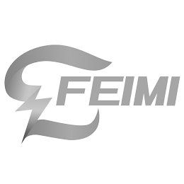 FEIMI logo