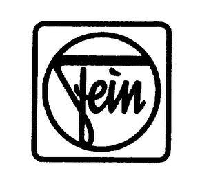 FEIN logo