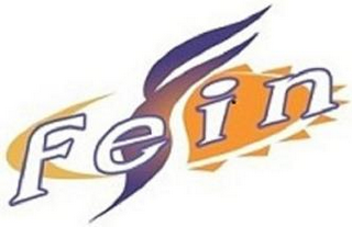 FEIN logo
