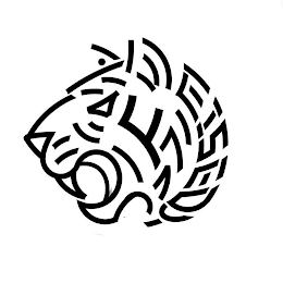 FEISEDY logo