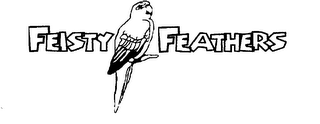 FEISTY FEATHERS logo