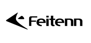 FEITENN logo