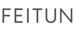 FEITUN logo