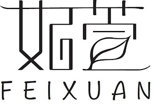 FEIXUAN logo