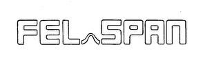 FEL SPAN logo