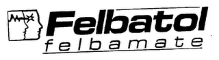 FELBATOL FELBAMATE