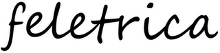 FELETRICA logo