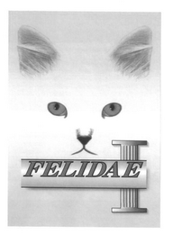 FELIDAE logo