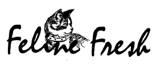 FELINE FRESH logo