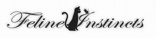 FELINE INSTINCTS logo