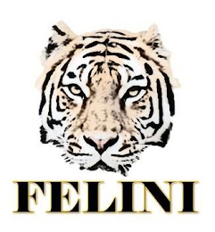 FELINI logo