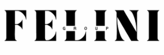 FELINI GROUP logo