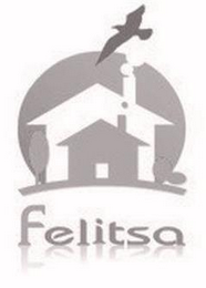 FELITSA logo