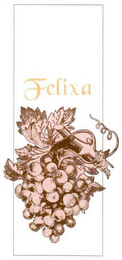 FELIXA logo