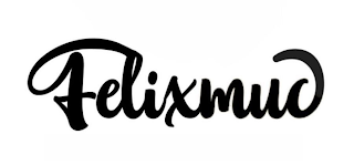 FELIXMUC logo