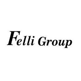 FELLI GROUP logo