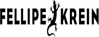 FELLIPE KREIN logo