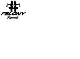 FELONY FEMALE logo