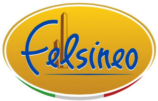 FELSINEO logo