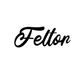 FELTOR logo