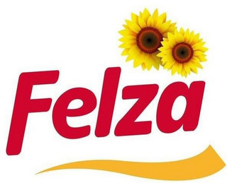 FELZA logo
