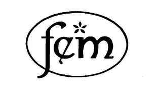 FEM logo