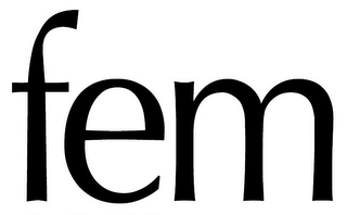 FEM logo