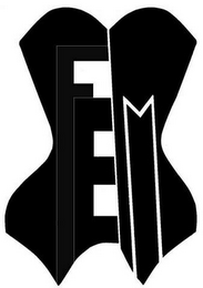 FEM logo