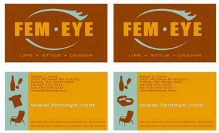 FEM-EYE logo