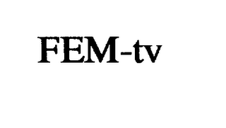 FEM-TV logo