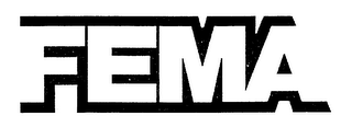 FEMA logo