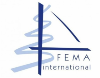 FEMA INTERNATIONAL logo