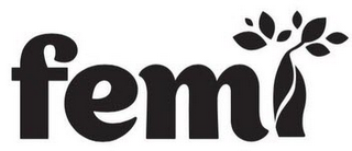 FEMI logo