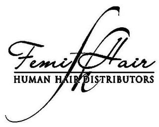 FEMI FH HAIR HUMAN HAIR DISTRIBUTORS logo
