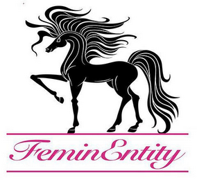 FEMINENTITY logo
