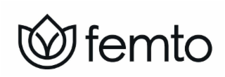 FEMTO logo
