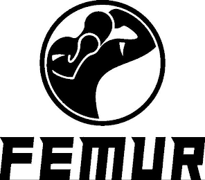 FEMUR logo