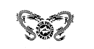 FENG XING logo