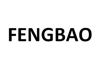 FENGBAO logo