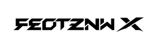 FEOTZNW X logo