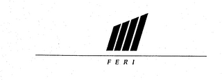 FERI logo