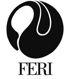 FERI logo