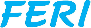 FERI logo