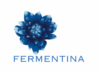 FERMENTINA logo