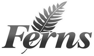 FERNS logo