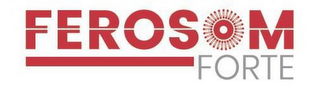 FEROSOM FORTE logo