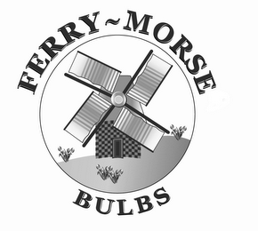 FERRY - MORSE BULBS logo