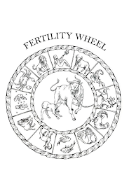 FERTILITY WHEEL logo