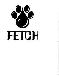 FETCH logo