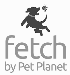 FETCH BY PET PLANET logo